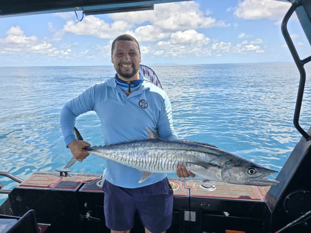 Rob spanish mackeral