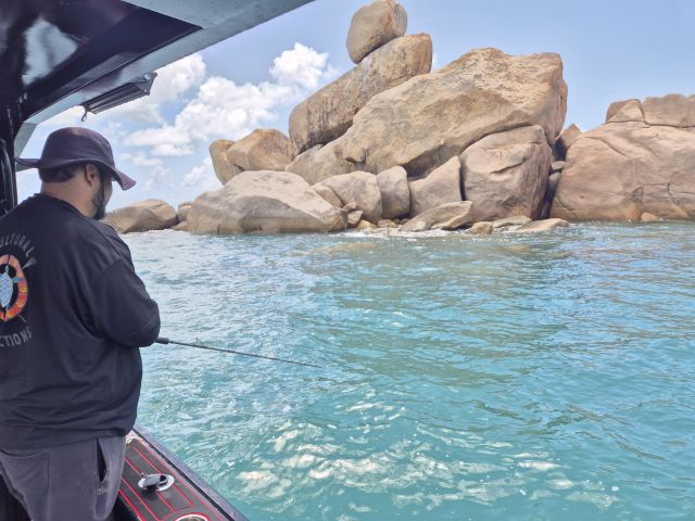 Tchalla florence bay